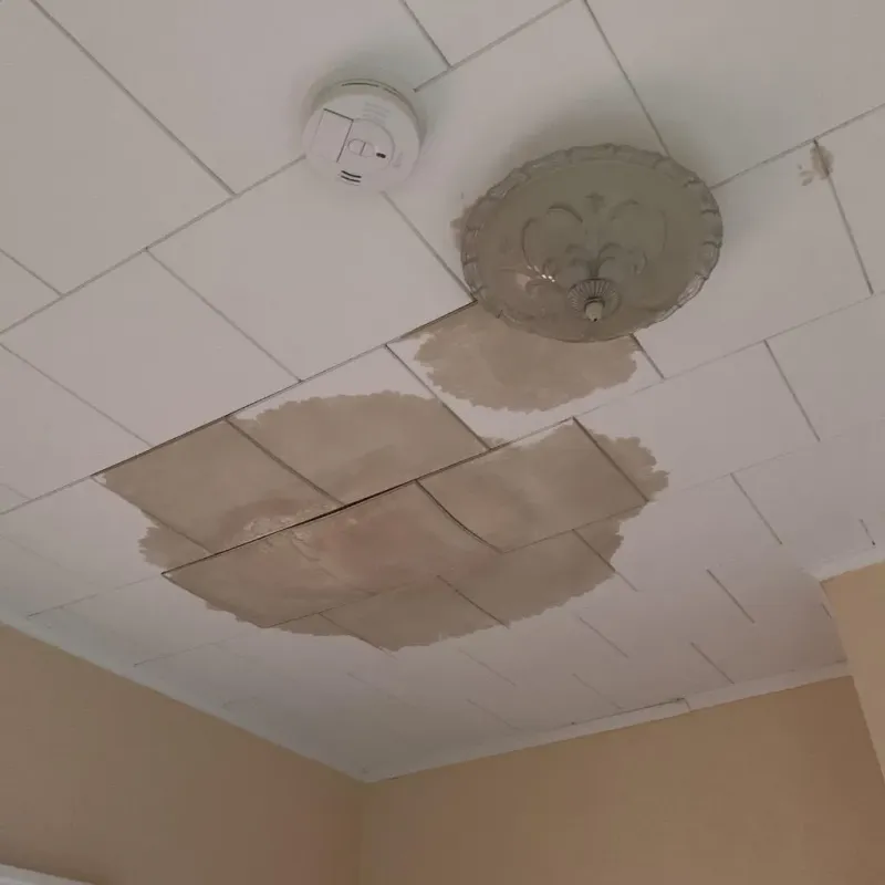 Ceiling Water Damage Repair in Fox Lake, IL