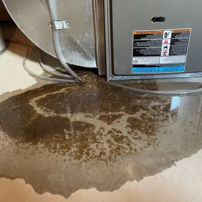 Pipe Burst and Leak Restoration in Fox Lake, IL