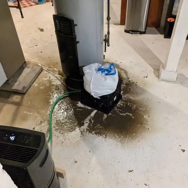 Sewage Backup Cleanup Service in Fox Lake, IL